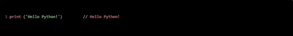 Python