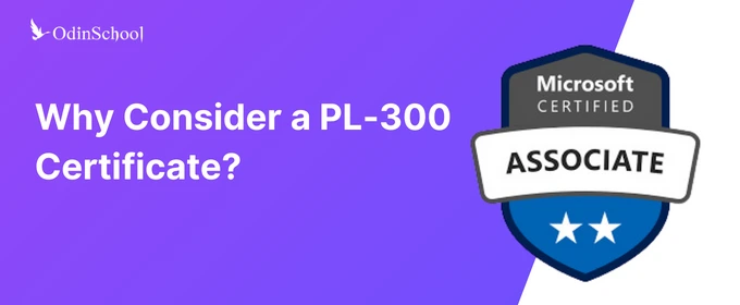 Why Should You Be A Power BI Developer?